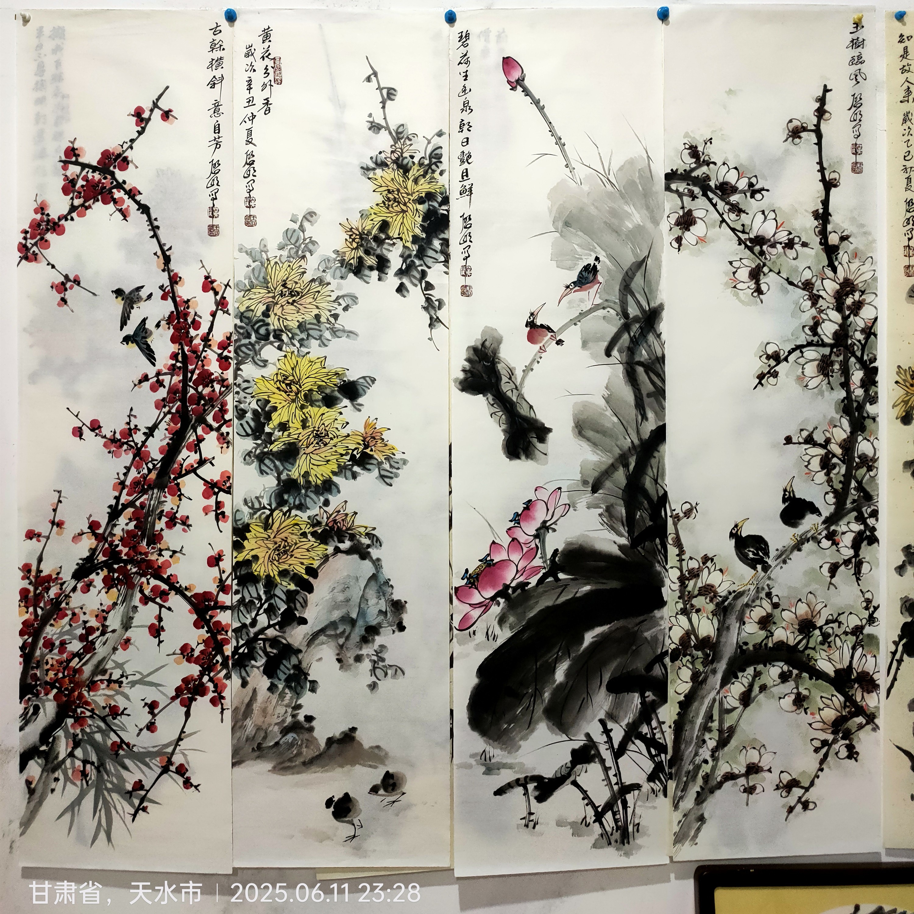 天水王启明老师春夏秋冬花鸟四尺对开四条屏（软片）