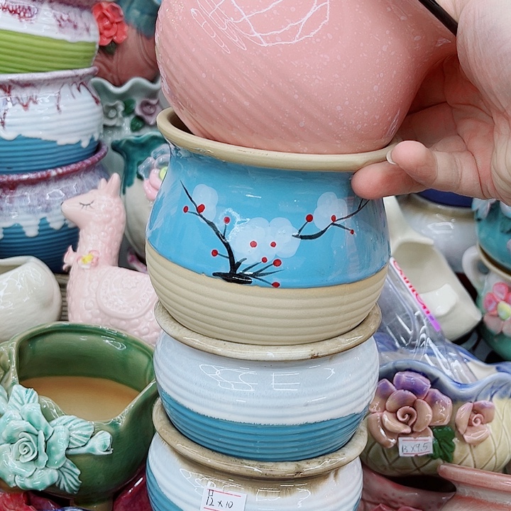 多肉植物陶瓷花盆