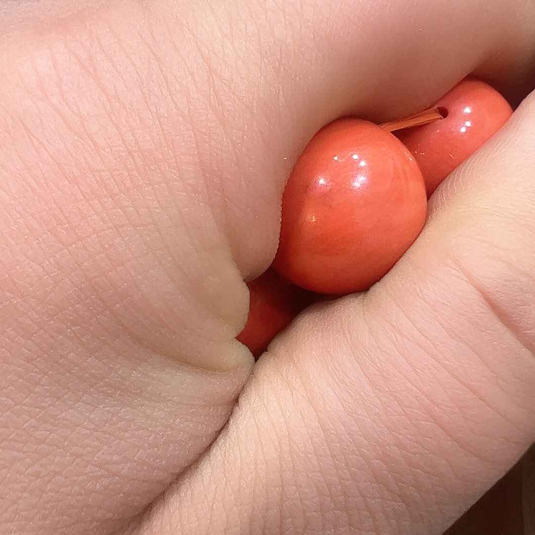 茶盏我们的生活方式是什么