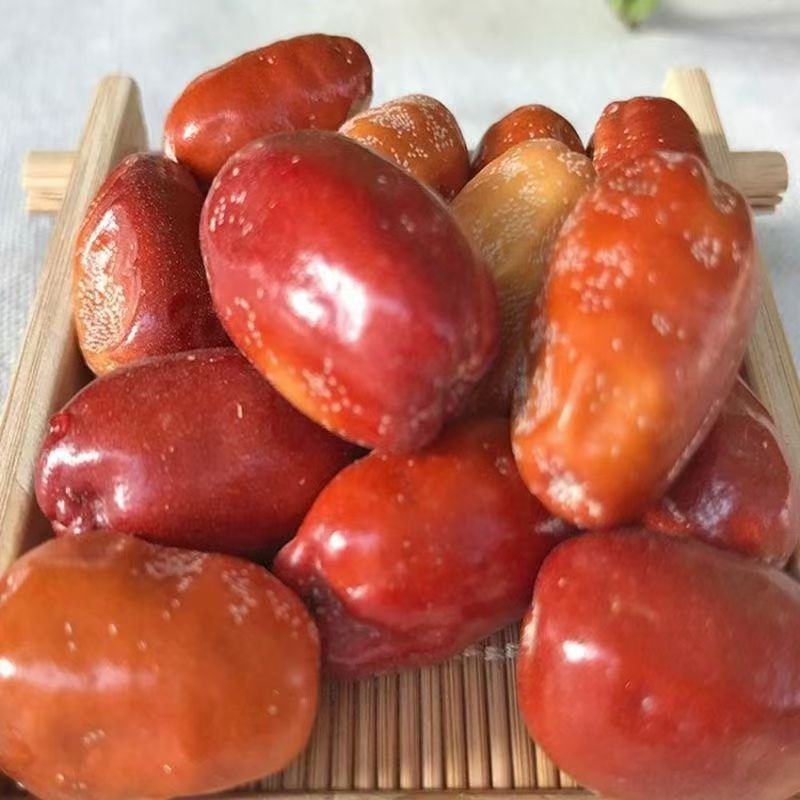 直发沙枣新疆今年特产和田原味大沙枣干净零食非红枣泡茶煲汤即食