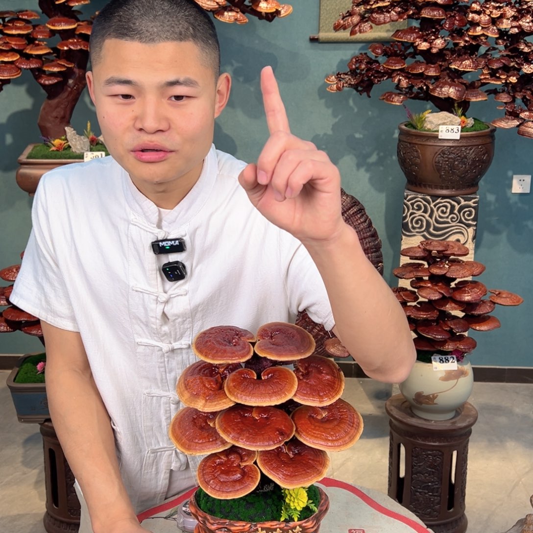 无花朵88888888888