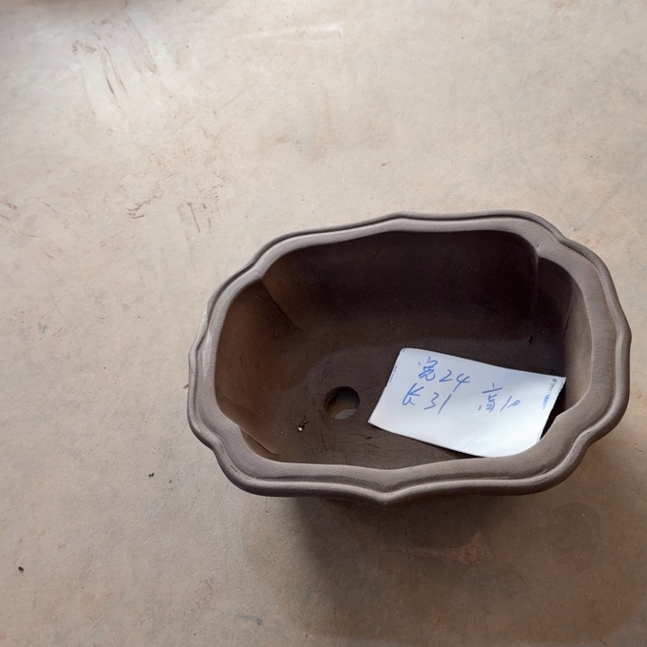 紫砂紫砂花盆d f f g g