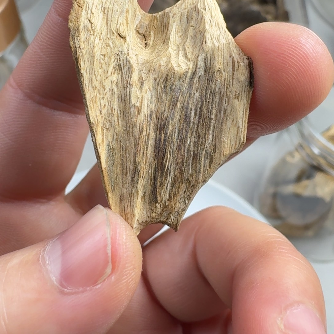 沉香碎屑沉香虎斑棋