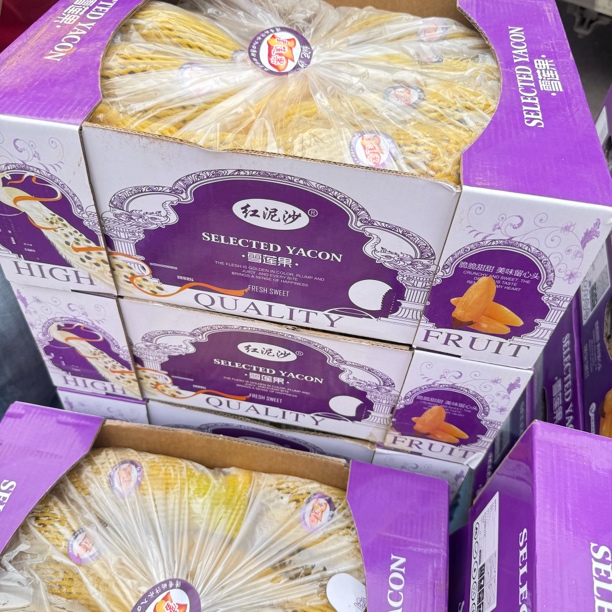 云南雪莲果 整箱装 清脆可口 包邮 现货现发