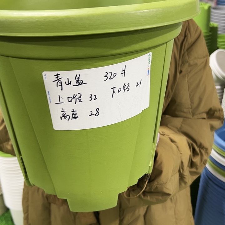 清仓青山口32高28果绿无托5个