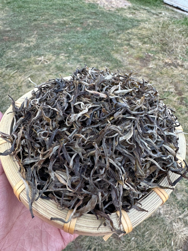 2023年 凤庆大树 普洱生茶散茶