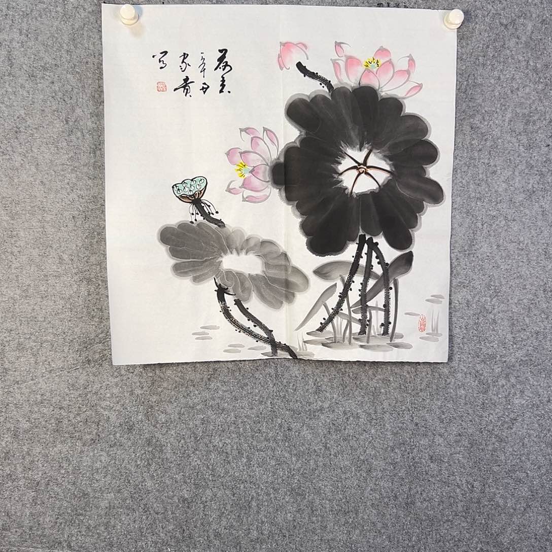 国画204 花鸟等各种鸟类栖息的