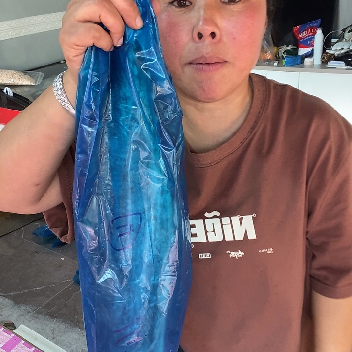 中国大陆渤海湾野生燕鲅鱼4号