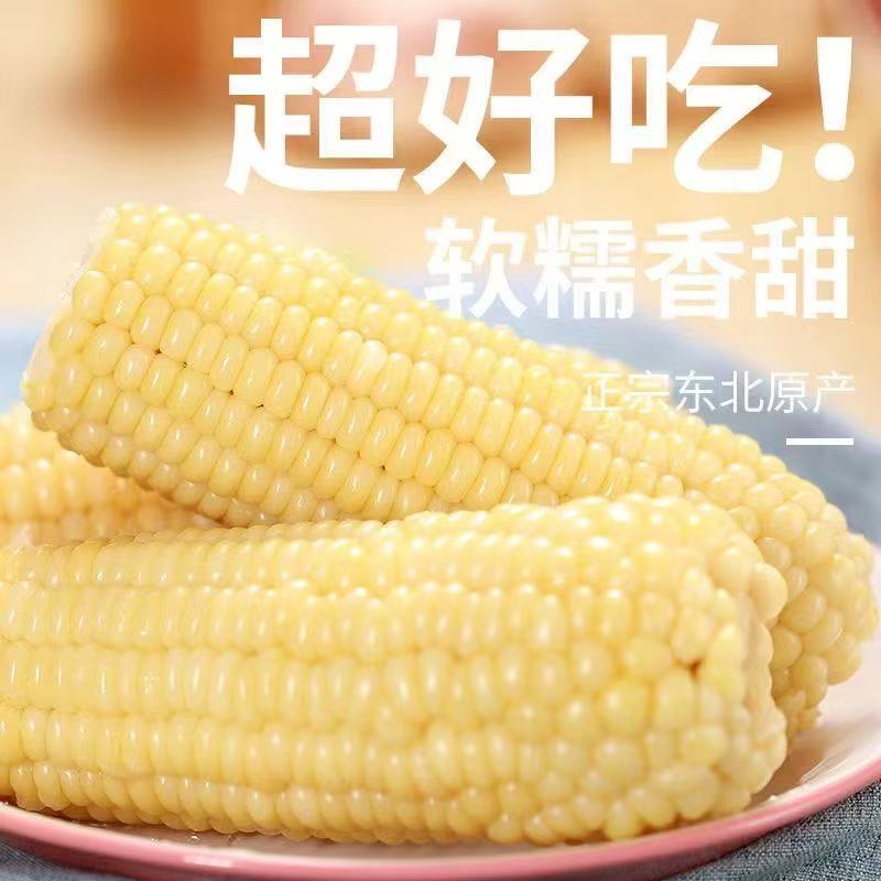 宁夏糯玉米香糯甜黏手指小玉米软糯香甜早餐精品店水果