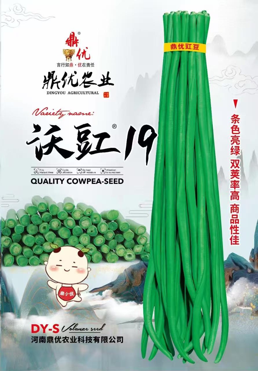 耐热品种，油绿条。200克规格