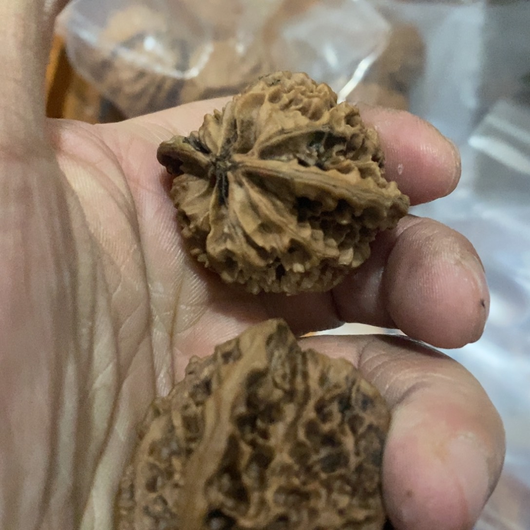 刘*秦岭南侧和东北北部分别