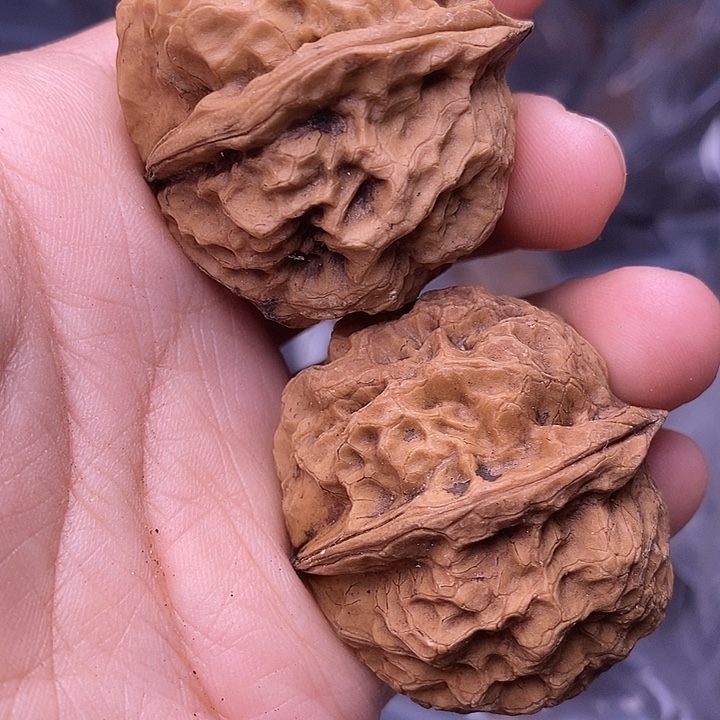 文玩核桃把件   174