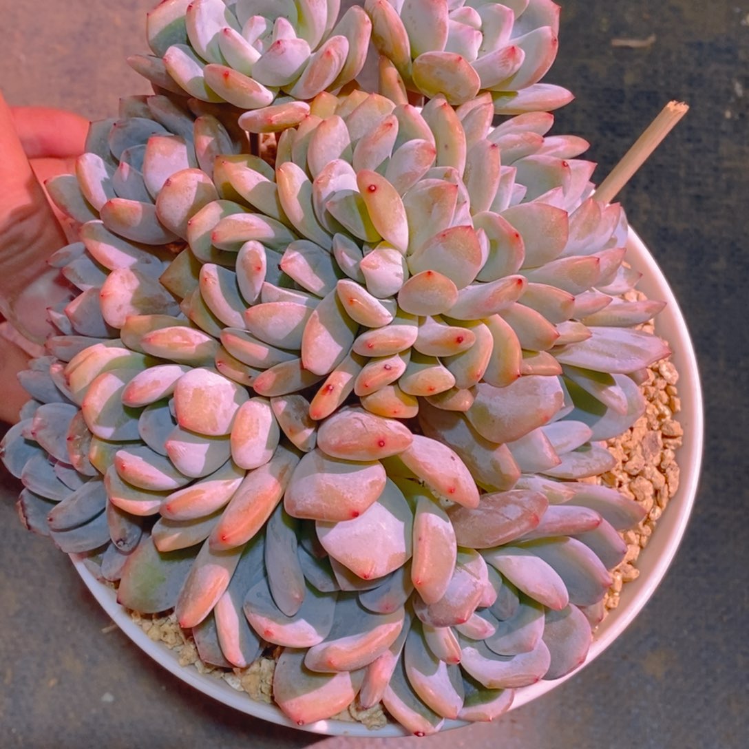 ?***?111111111111111111111