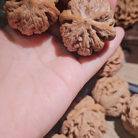 亳***生文玩核桃吊坠40粗筋