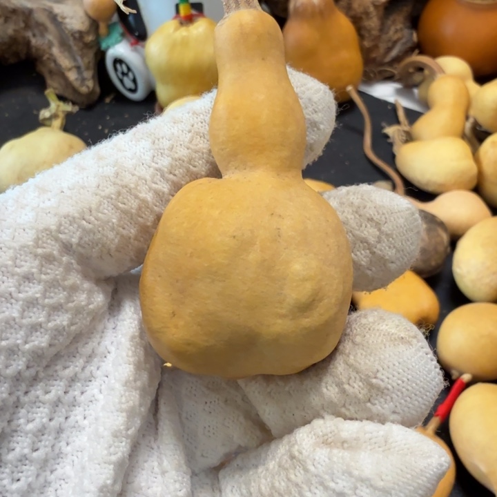 冷***天66666666667777888888