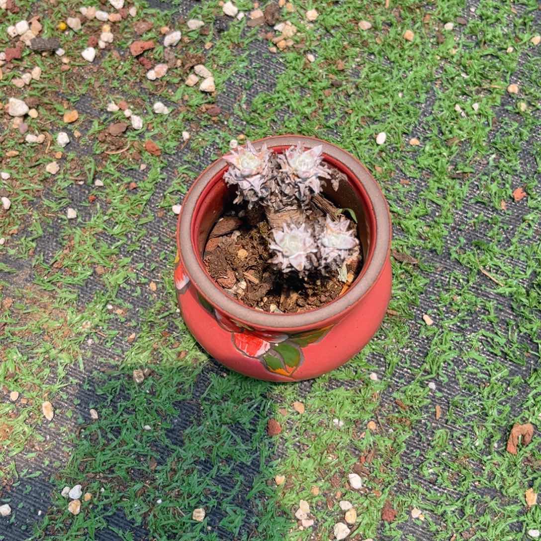 运费568899689658885