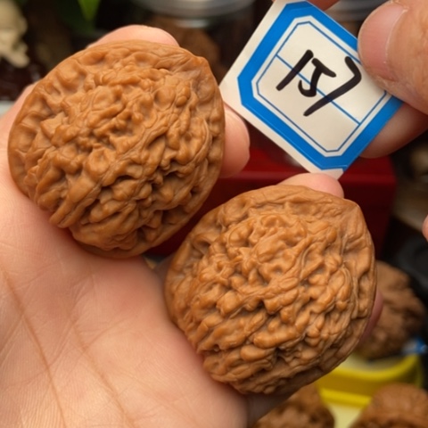 文玩核桃吊坠蚂蚁王39