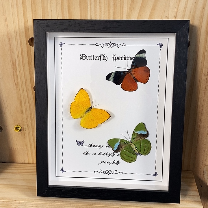 天***5三醋酯纤维红黄绿组合