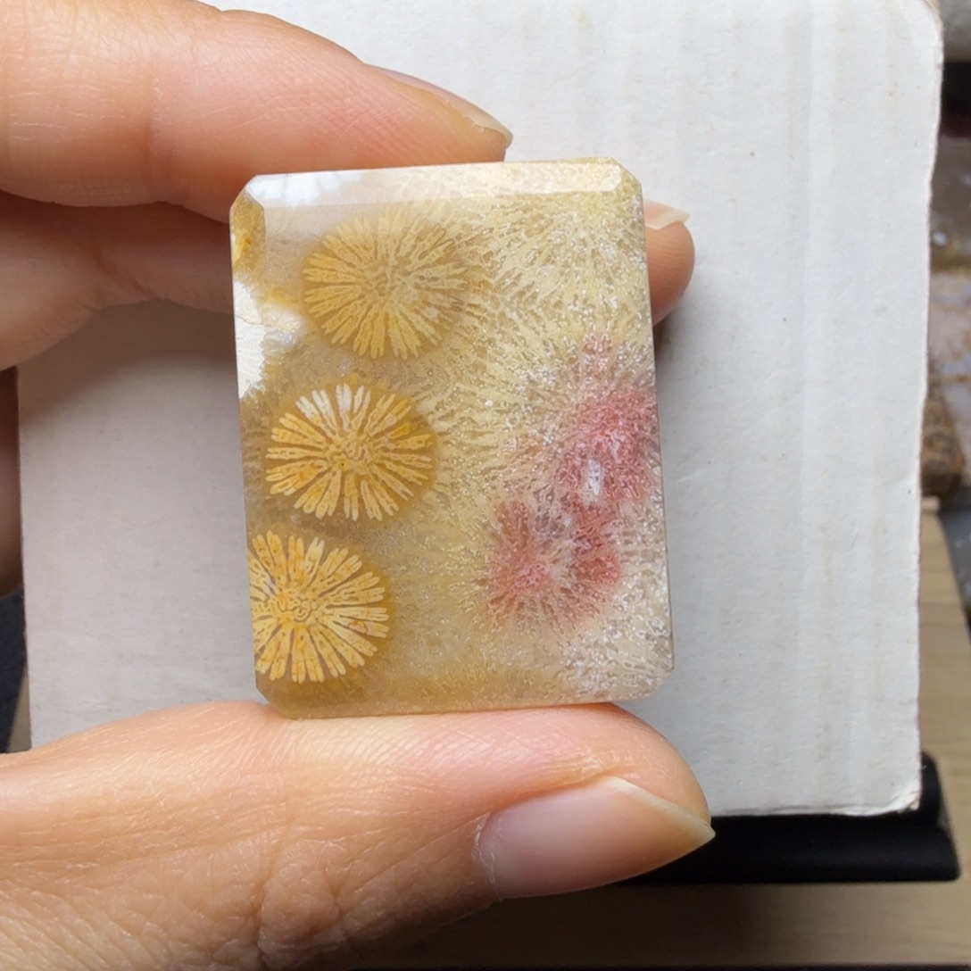 硅化玉未镶嵌飘彩大花，可盘