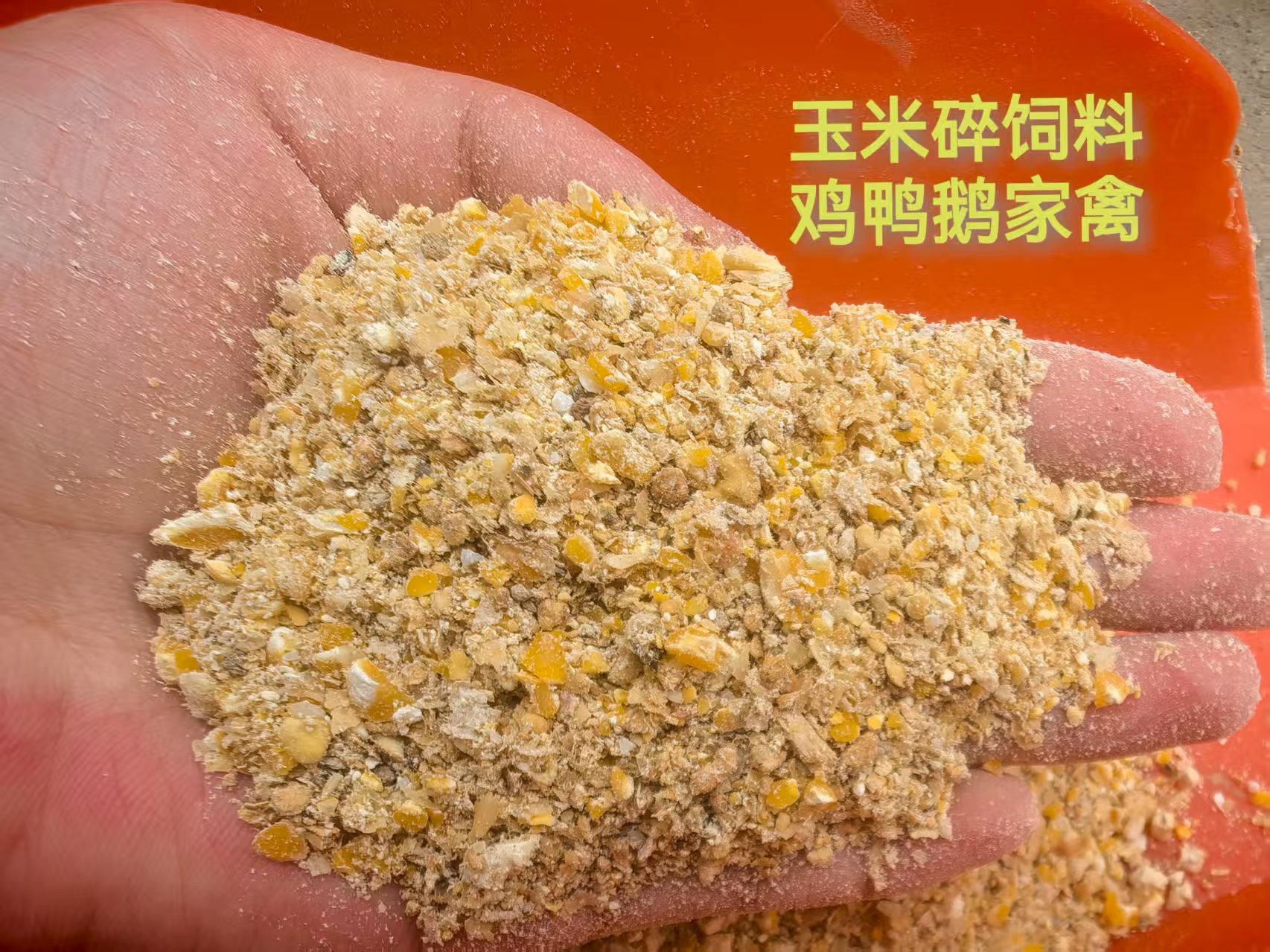 玉米碎麦麸稻谷混合五谷通用家禽产蛋专用饲料