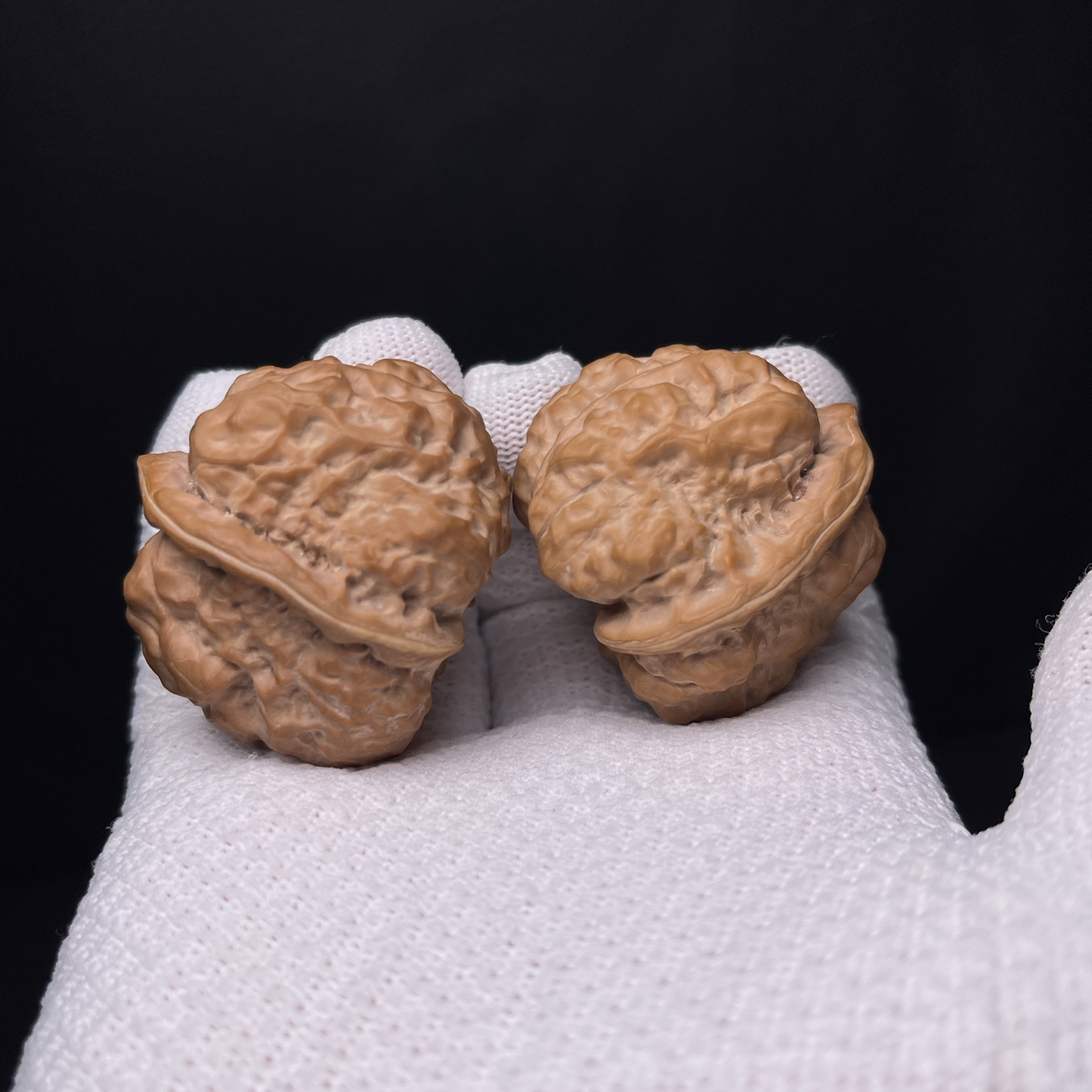 蛤蟆头箭毒蛙尺寸40（编号A221）