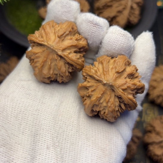 文玩核桃吊坠秦岭核桃6