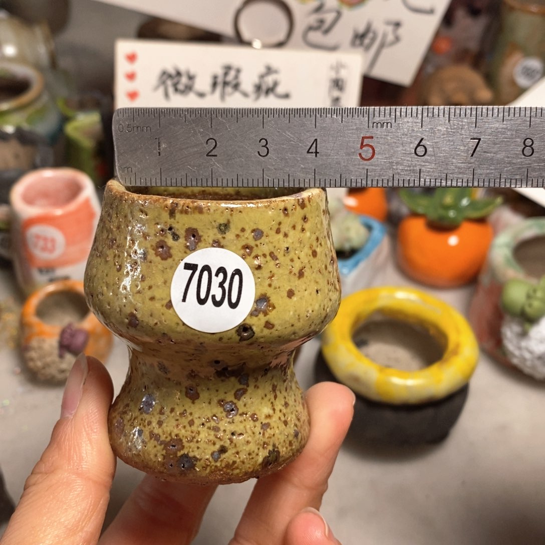 拍5送一个小礼物＇花盆