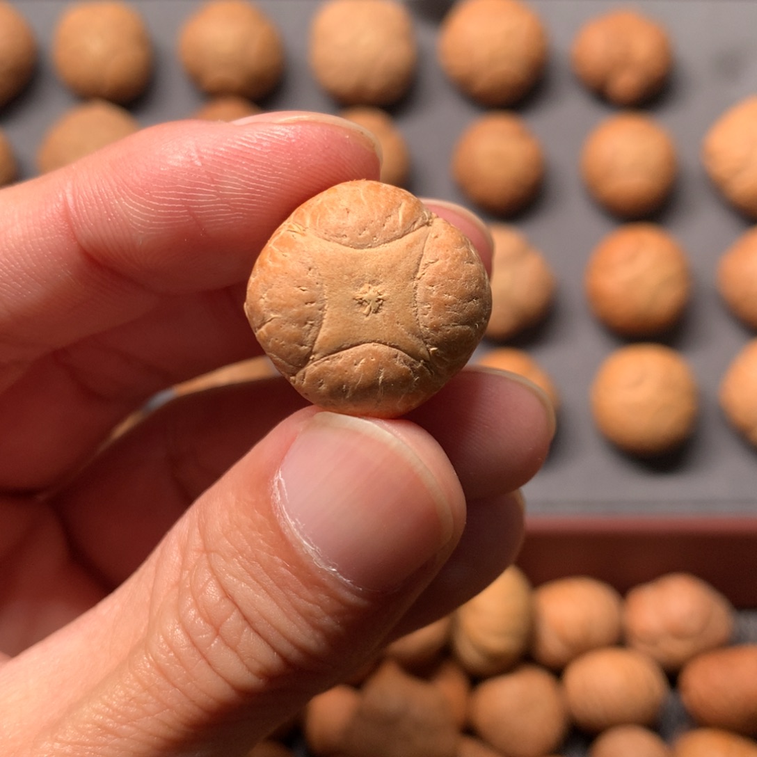 ²***₆凤眼菩提吊坠20.5mm尼泊尔麒麟，打孔后不退换