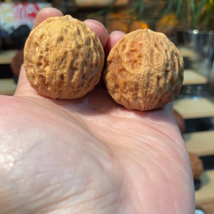 石***来文玩核桃把件编号18