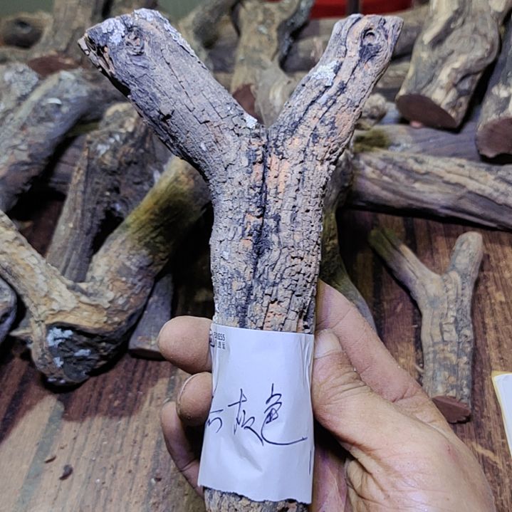 他***石火琉璃原杈不保沉水慎拍！