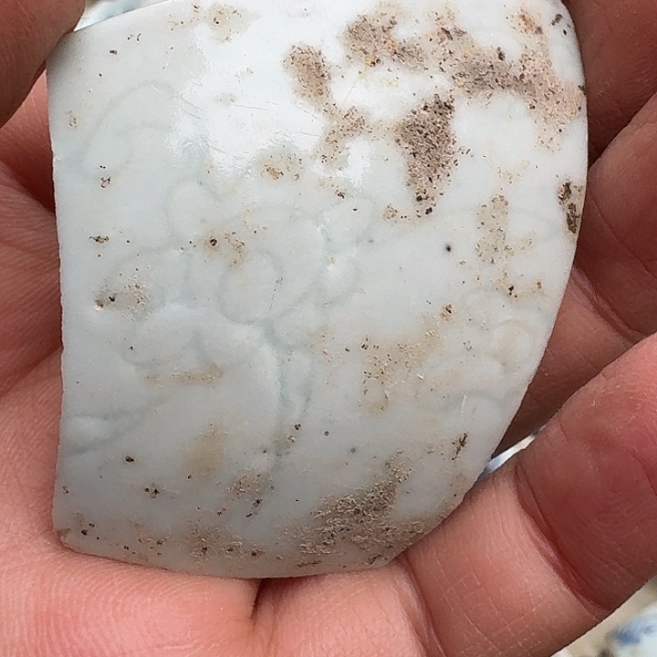 奥***l瓷片瓷片标本，顺丰包邮