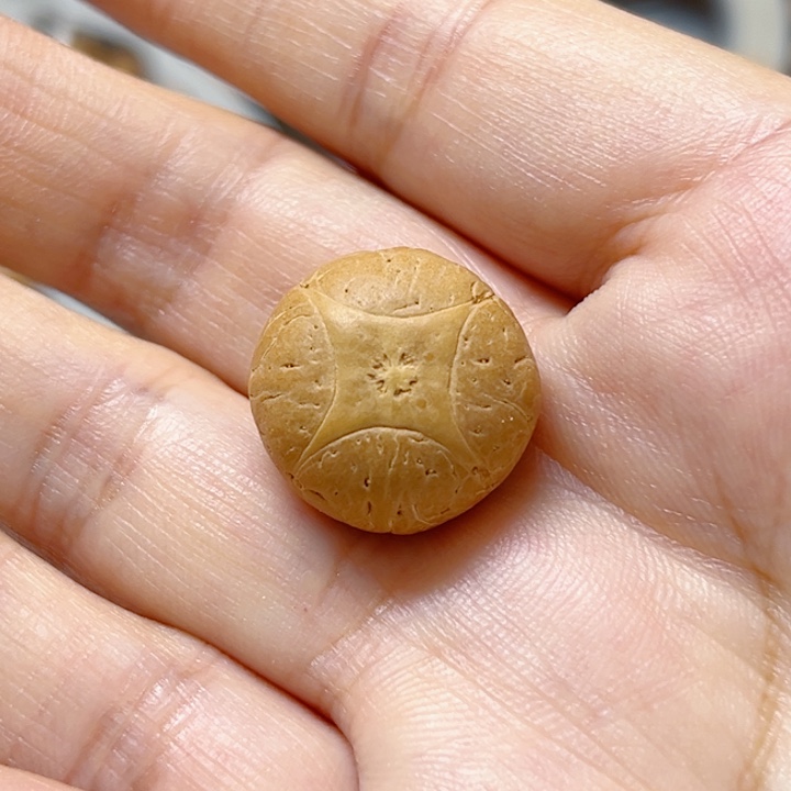 手串凤眼菩提18麒麟单籽福利，86@0955