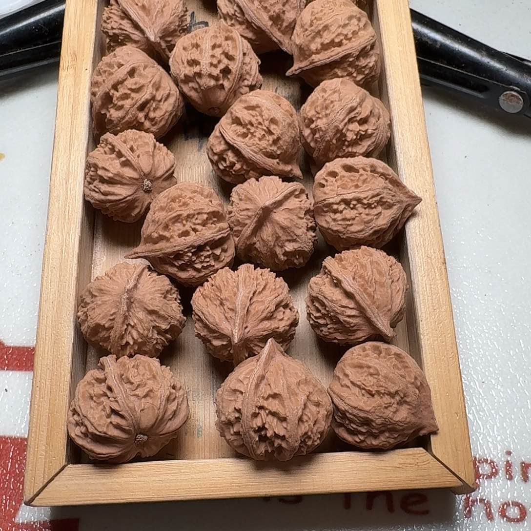 核桃手串/手链88号边28手持