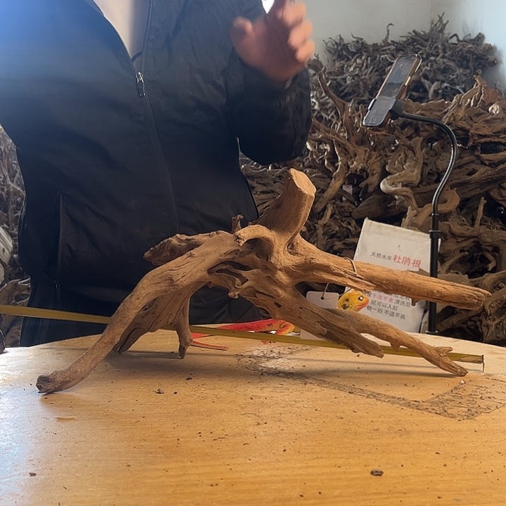 木502528 鱼缸造景摆件杜鹃根不沉水125