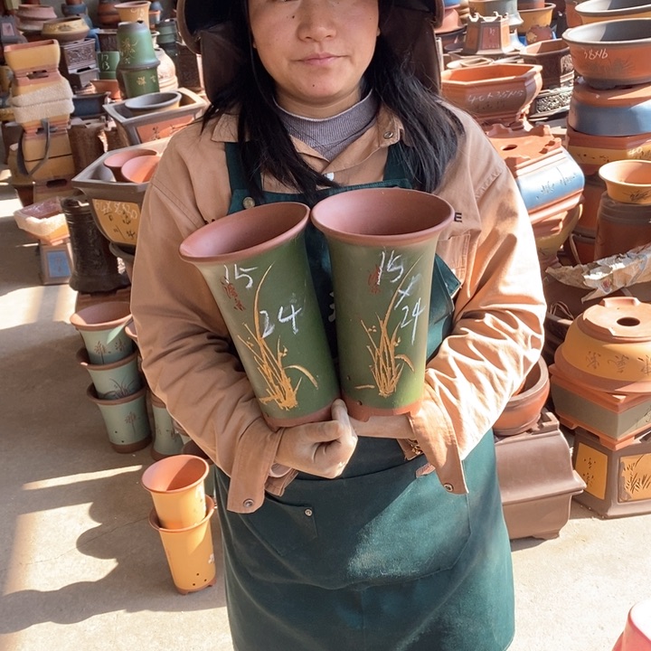 紫砂花盆盆栽花卉苗木种植