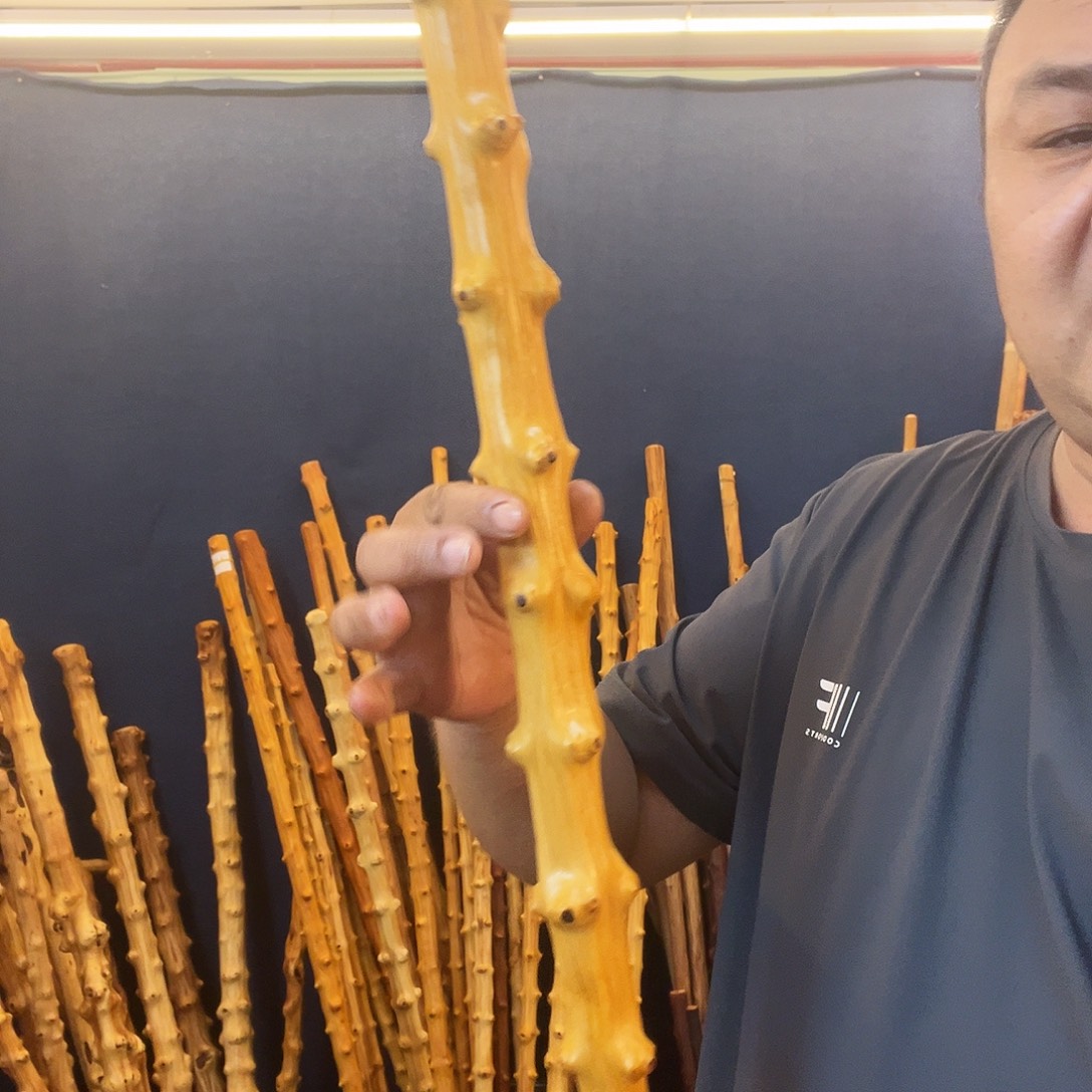 草***根哈哈哈哈哈哈哈哈哈哈