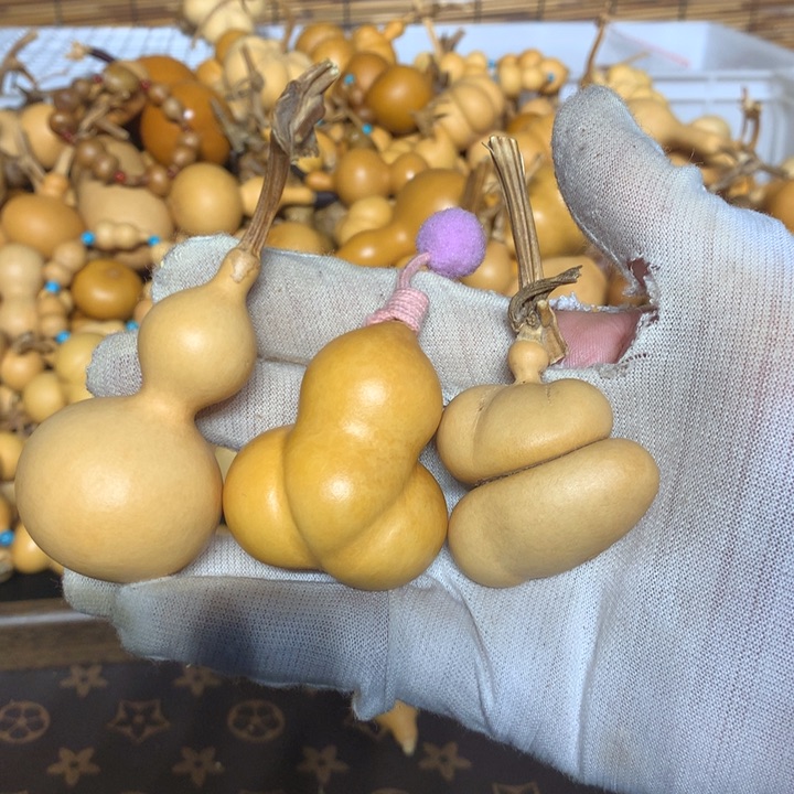 梨等经济林作物中提取和生长较