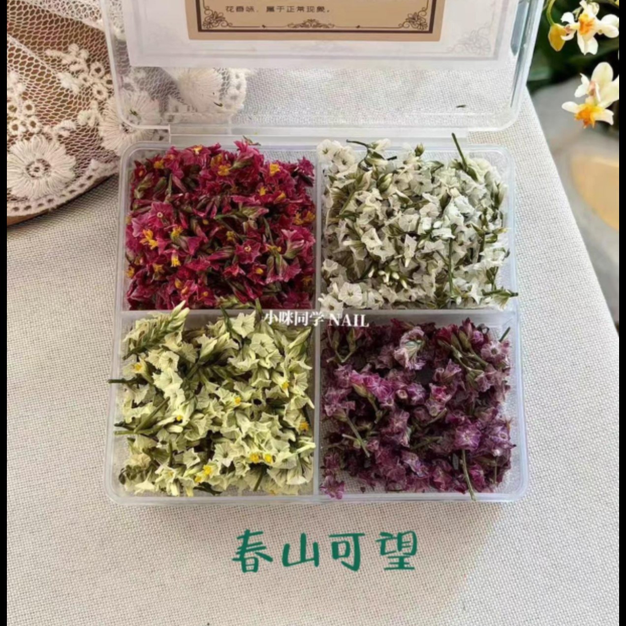 小咪同学原创美甲立体干花手工手帐diy素材（春山可望）加量