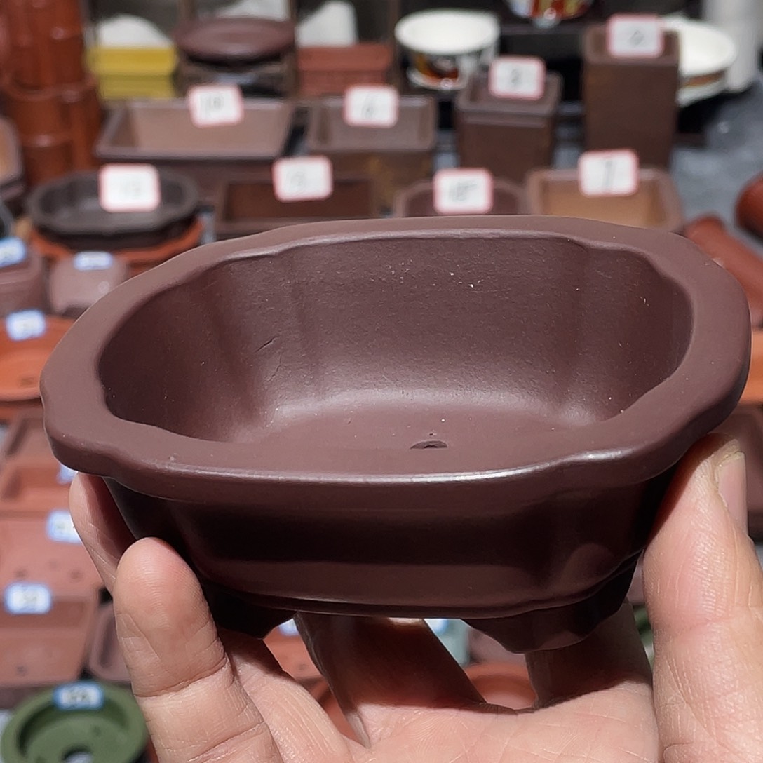 紫砂贵***8紫砂小盆9.5*7.5*3