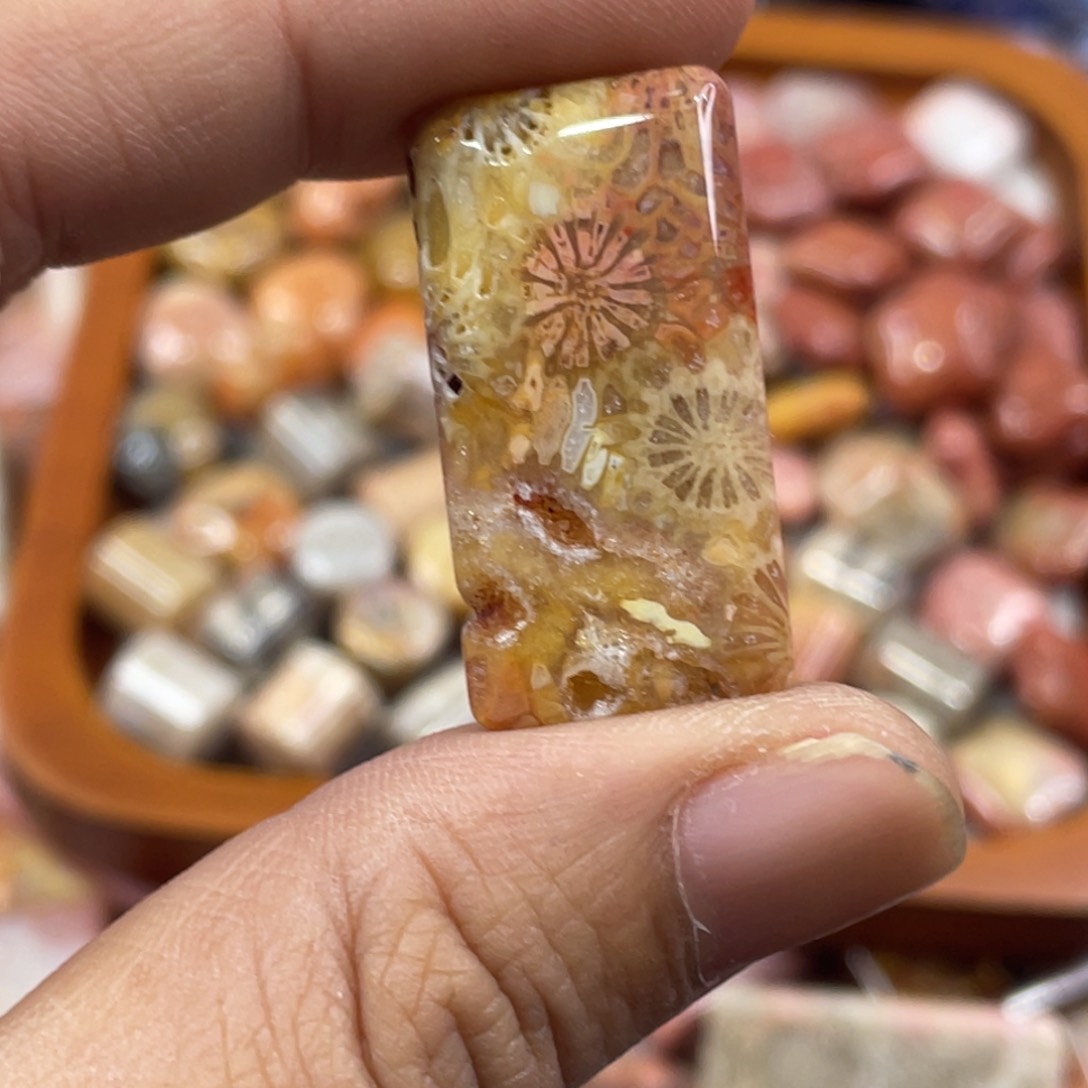 未镶嵌手镯硅化玉