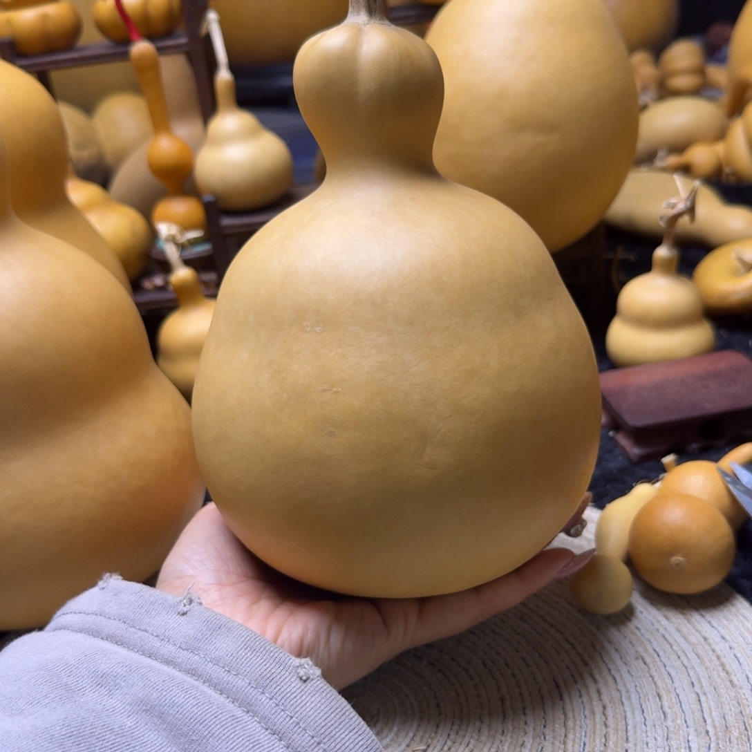 杨****莲花头胖墩嘎嘎漂亮