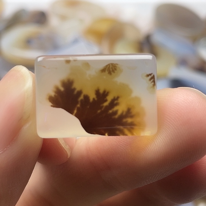 查罗石合金珠宝半成品