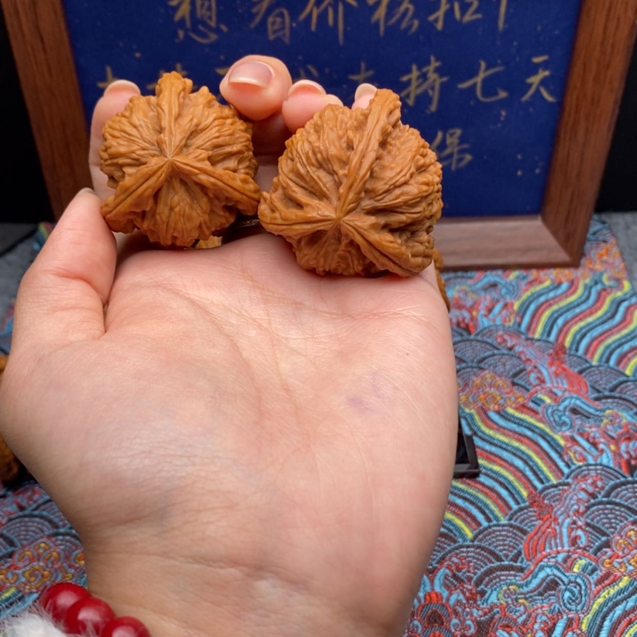 【闪购商品】希*白狮