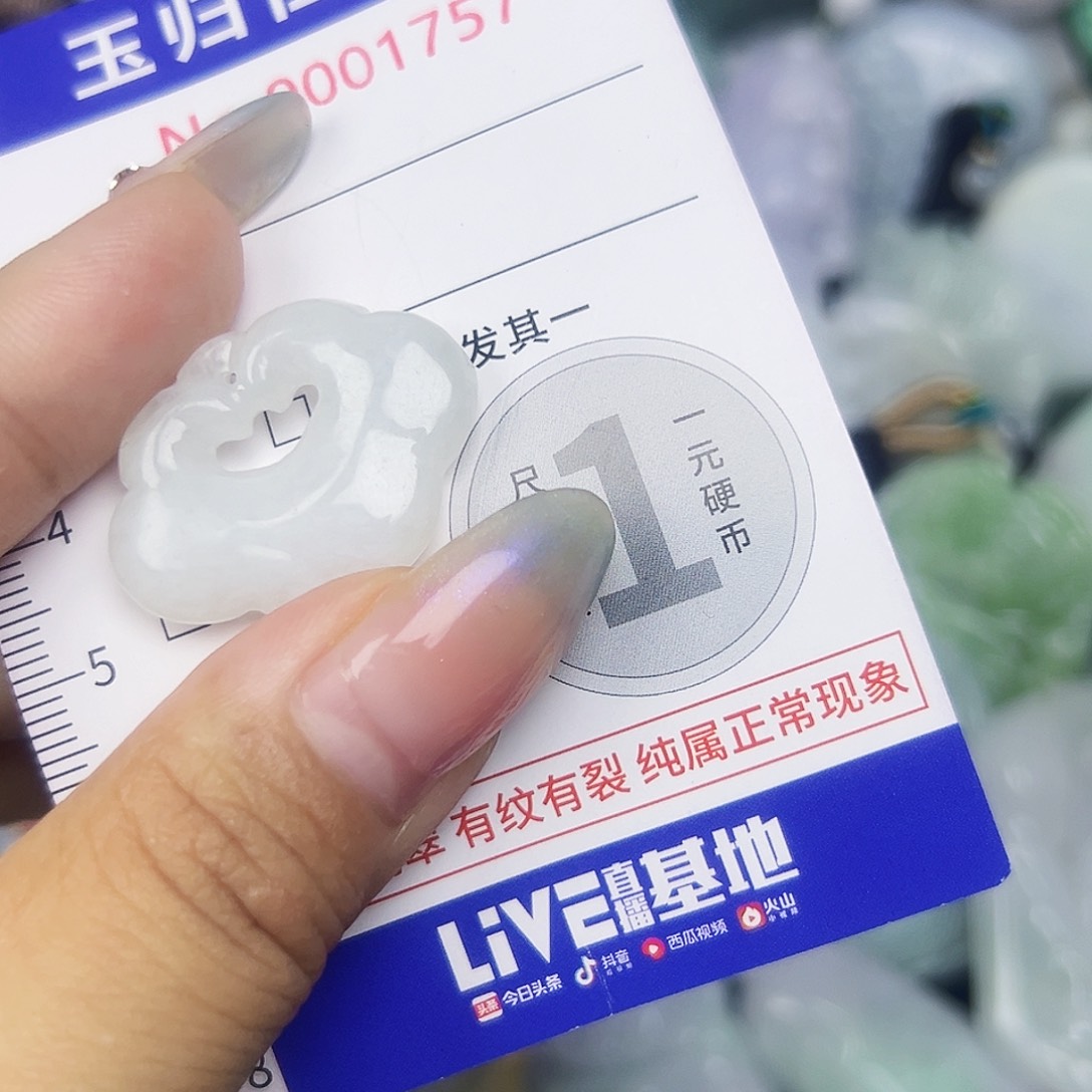 翡翠未镶嵌吊坠(不含链)111