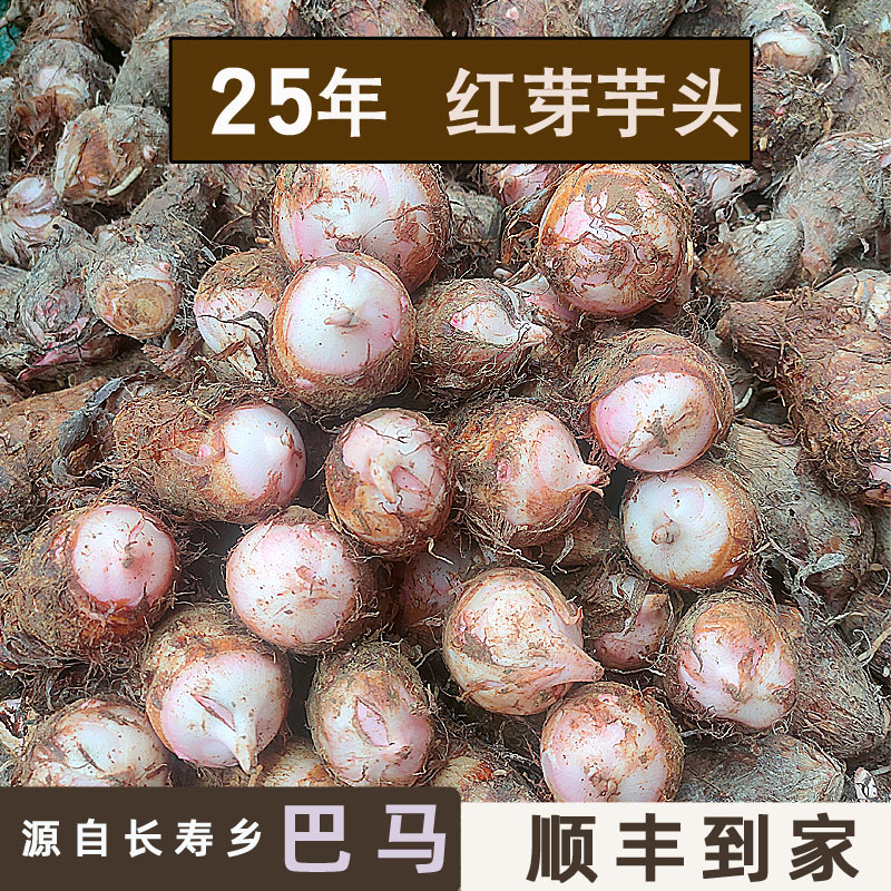 广西巴马芋头新鲜小香芋头圆现挖现发25年5斤农家自种毛芋粉香糯