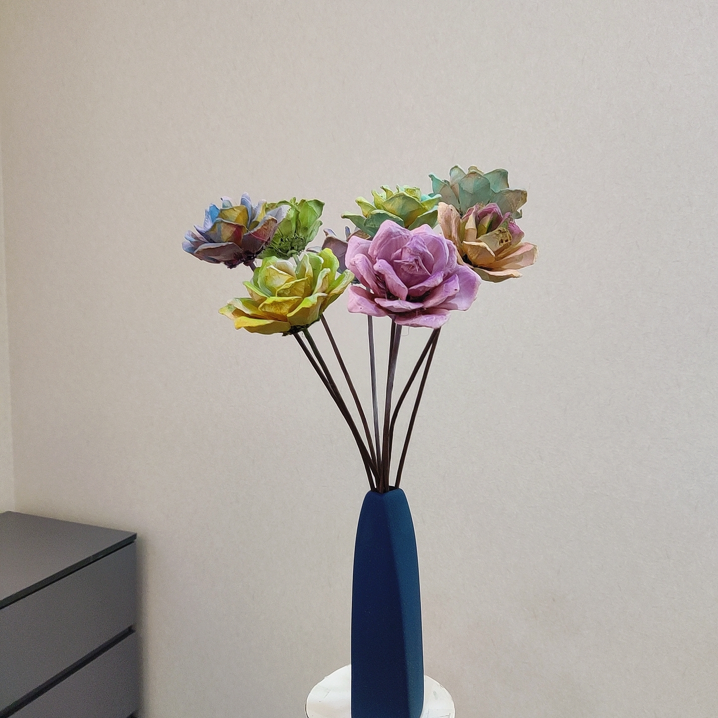 直播间宠粉福利【多肉玫瑰圈】通草花干花永生花