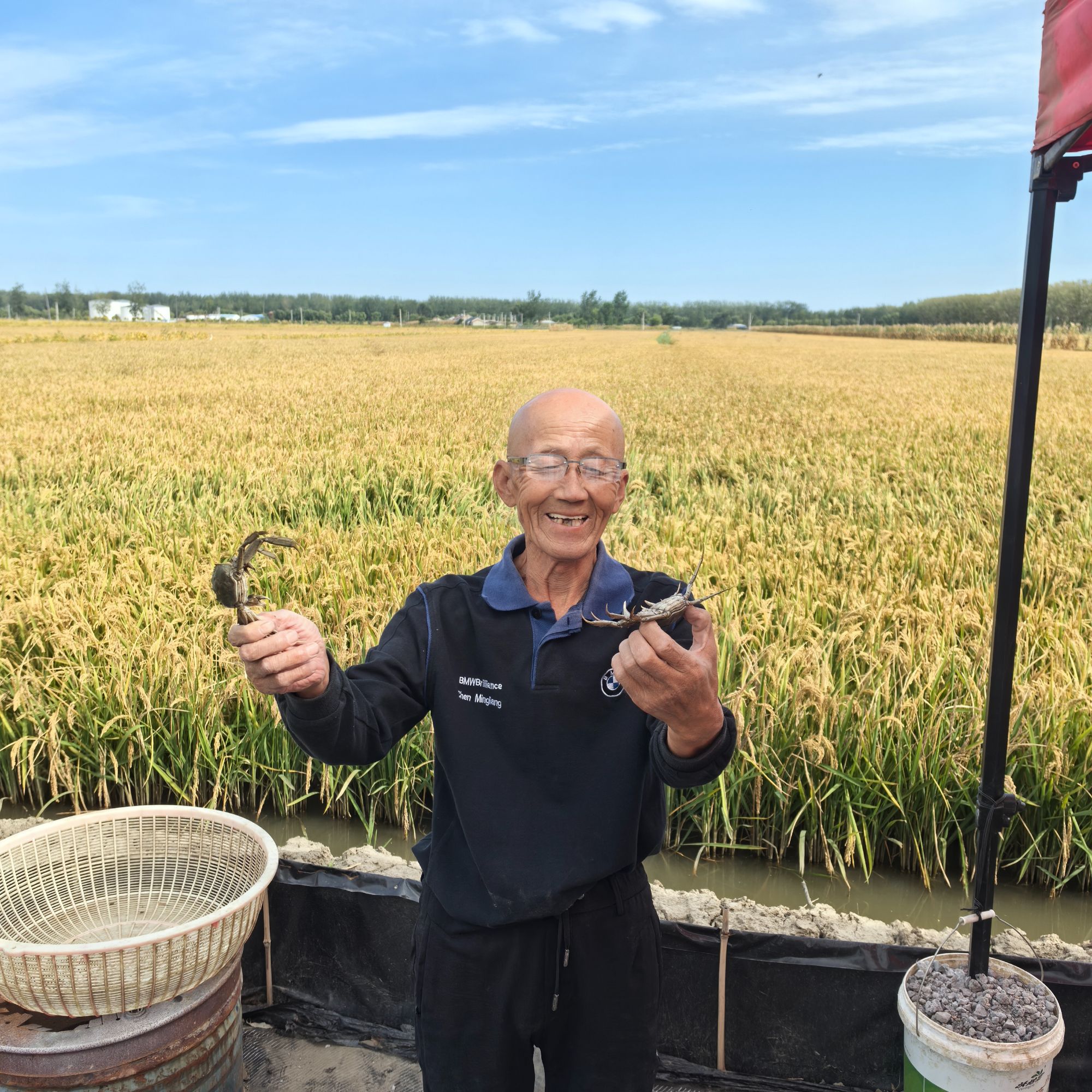 (活蟹)盘锦国民稻田蟹1.3-1.6两全母2斤14-16个