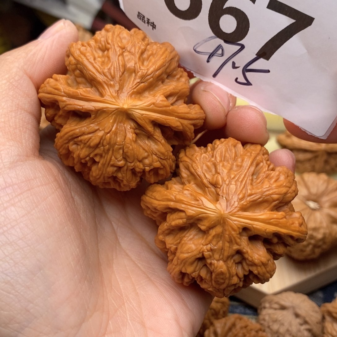 文玩核桃吊坠667号47.5粗筋