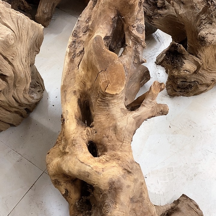 楠木海****民金丝楠木小叶