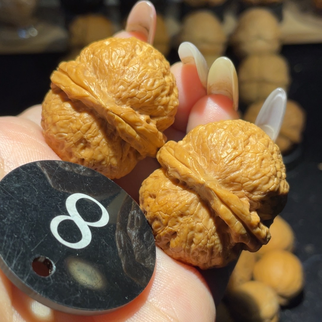 小狮子37尺寸核桃